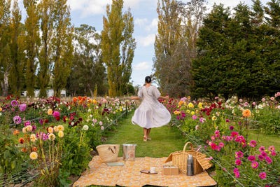 /international/nz/58-moroa-road-featherston-south-wairarapa-380066154822/