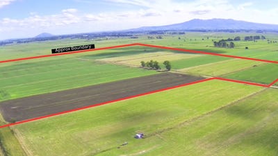 /international/nz/251-collins-road-temple-view-hamilton-city-380066075794/