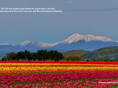 /international/nz/lot-2-willowbridge-road-waimate-canterbury-380066078662/