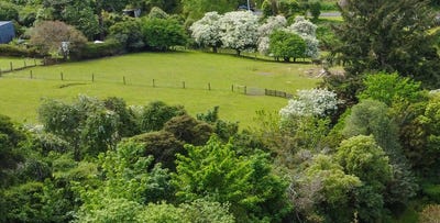 /international/nz/44-crown-street-north-east-valley-dunedin-city-380066102421/