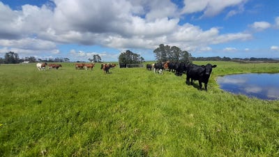 /international/nz/lot-1-mangatete-heights-kaingaroa-far-north-380066123446/