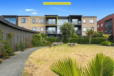 /international/nz/point-england-auckland-city-380066088999/