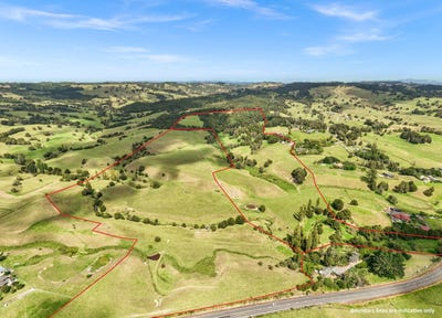 /international/nz/47b-mihi-road-okaihau-far-north-380066085218/