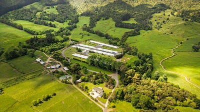 /international/nz/te-aroha-matamata-piako-380066084738/