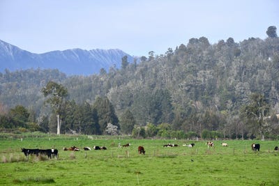 /international/nz/106-granite-creek-road-karamea-buller-380066110426/
