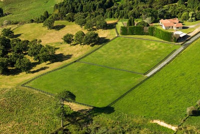 /international/nz/196c-pukemapu-road-oropi-western-bay-of-plenty-380066084350/