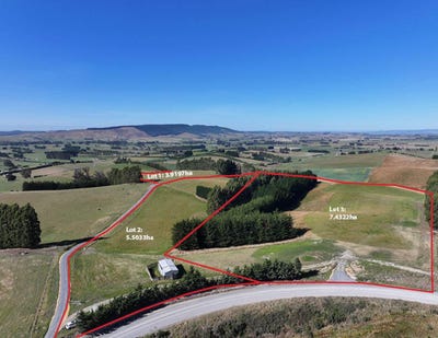 /international/nz/341-table-hill-road-milton-clutha-380066077332/
