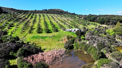 /international/nz/105-frantoio-ridge-road-mangonui-far-north-380066093981/