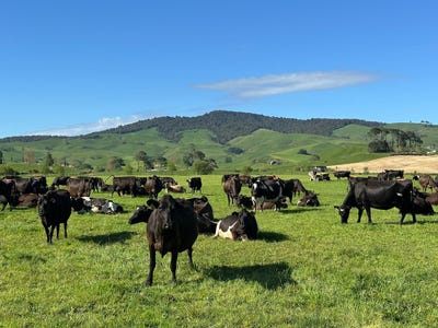 /international/nz/258-paratu-west-road-richmond-downs-matamata-piako-380066080487/