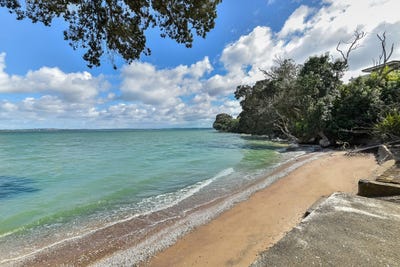 /international/nz/53-st-michaels-avenue-point-chevalier-auckland-city-380066109496/