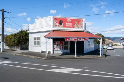 /international/nz/petone-lower-hutt-city-380066105428/