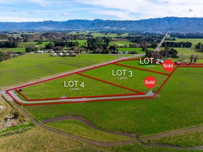 /international/nz/featherston-south-wairarapa-380066089401/