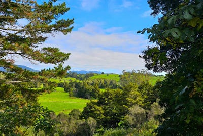 /international/nz/334-otaua-road-kaikohe-west-far-north-380066121279/