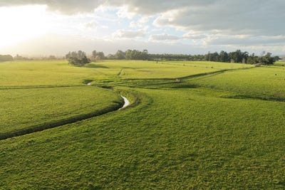 /international/nz/326-cornwall-road-carterton-wairarapa-380066169632/