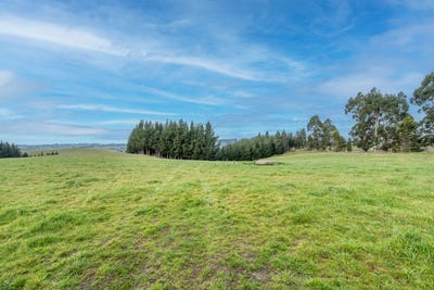 /international/nz/22-paterson-road-gore-surrounds-gore-380066108171/