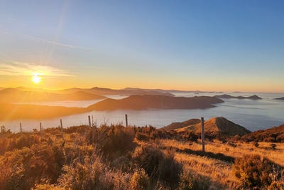 /international/nz/lot-1-anakoha-bay-marlborough-sounds-marlborough-380066095321/