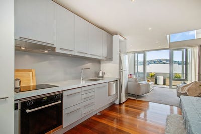/international/nz/petone-lower-hutt-city-380066174768/