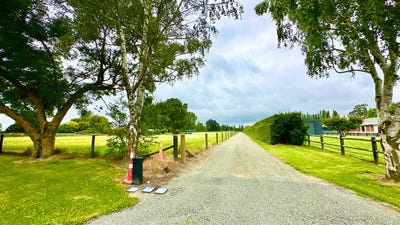 /international/nz/tinwald-ashburton-380066106286/