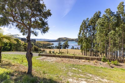 /international/nz/17-rowland-street-purakaunui-dunedin-city-380066112887/