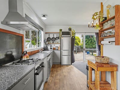 /international/nz/12-corbett-street-hector-buller-380066115593/