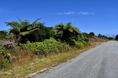 /international/nz/karamea-buller-380066102668/
