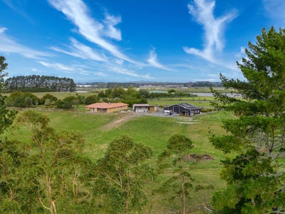/international/nz/44-selva-road-waiau-pa-franklin-380066086450/