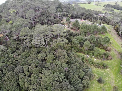 /international/nz/kaukapakapa-rodney-380066078645/