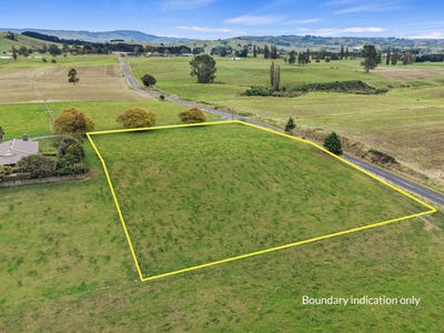 /international/nz/otorohanga-waikato-380066116014/