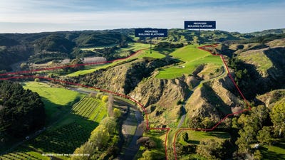 /international/nz/te-awanga-hastings-380066085888/