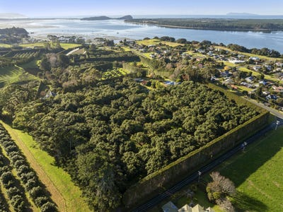 /international/nz/25-chelmsford-street-katikati-western-bay-of-plenty-380066182294/