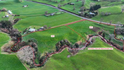 /international/nz/tirau-tararua-380066104771/