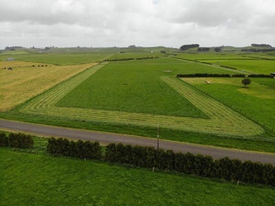 /international/nz/eltham-south-taranaki-380066078150/