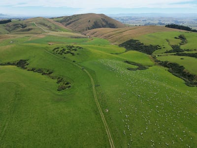 /international/nz/124-strathearn-road-clinton-and-surrounds-clutha-380066080385/