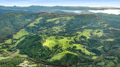 /international/nz/928-kuaotunu-wharekaho-road-whitianga-thames-coromandel-380066140568/