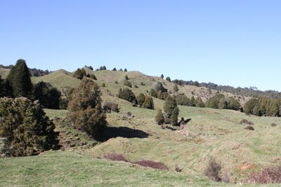 /international/nz/1427-waitaanga-road-ohura-ruapehu-380066077859/