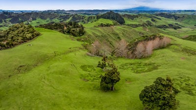 /international/nz/59-tawhiwhi-road-pohokura-and-surrounds-stratford-380066076700/