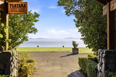 /international/nz/tokaanu-taupo-380066149595/