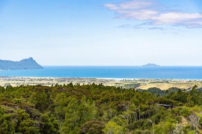 /international/nz/585-ormiston-road-waipu-whangarei-380066079486/