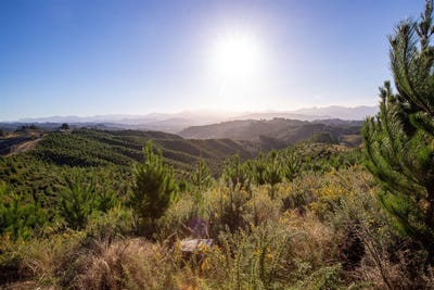 /international/nz/0-win-valley-road-upper-moutere-tasman-380066083347/