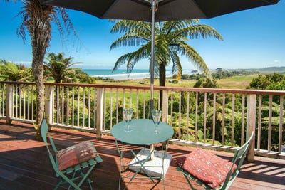 /international/nz/17-fairburn-way-charleston-buller-380066112045/