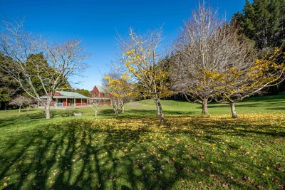 /international/nz/mangonui-far-north-380066169881/