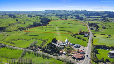 /international/nz/raglan-waikato-380066101569/