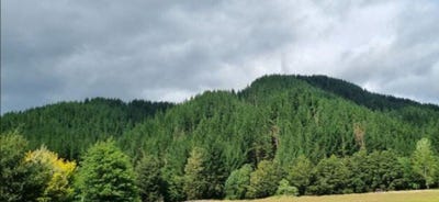 /international/nz/49-mangahoe-road-owhango-ruapehu-380066077649/