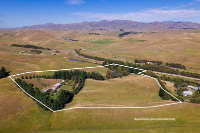 /international/nz/317-caseys-road-seddon-marlborough-380066080717/