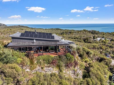 /international/nz/charleston-buller-380066113098/
