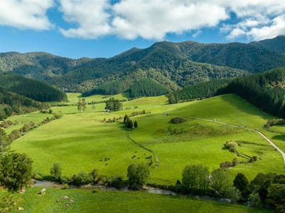 /international/nz/tunakino-valley-road-rai-valley-marlborough-380066077893/