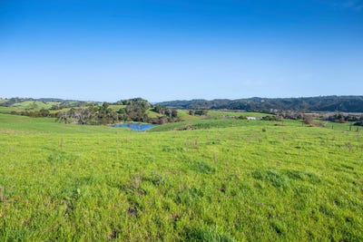 /international/nz/helensville-rodney-380066082418/