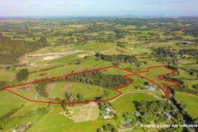 /international/nz/418-blackbridge-road-dairy-flat-rodney-380066086766/