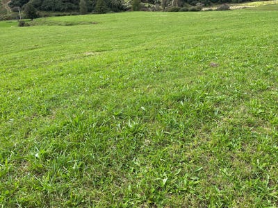 /international/nz/lot-9-632-mangaotuku-road-douglas-stratford-380066079506/
