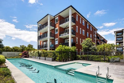 /international/nz/mount-albert-auckland-city-380066082486/
